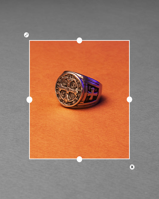 HAB102- stainless ring